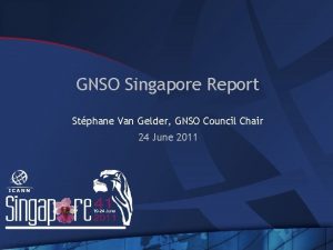 GNSO Singapore Report Stphane Van Gelder GNSO Council