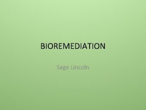 BIOREMEDIATION Sage Lincoln Pollution Bioremediation InSitu and ExSitu
