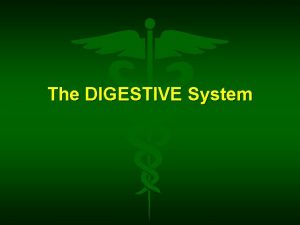 The DIGESTIVE System Digestion defined Breakdown nutrients Two