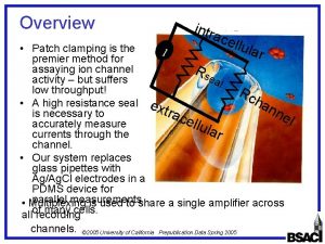 Overview intr ace l lula Patch clamping is