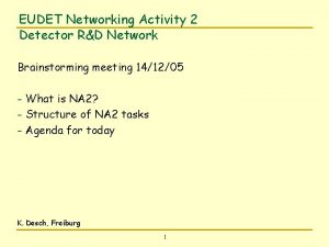 EUDET Networking Activity 2 Detector RD Network Brainstorming