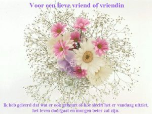 Voor een lieve vriend of vriendin Ik heb