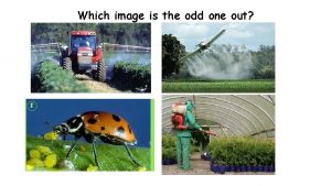 Which image is the odd one out Disruption