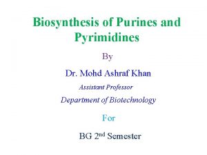 Biosynthesis of Purines and Pyrimidines By Dr Mohd