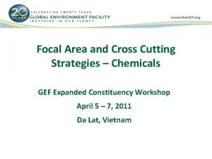 Focal Area and Cross Cutting Strategies Chemicals GEF