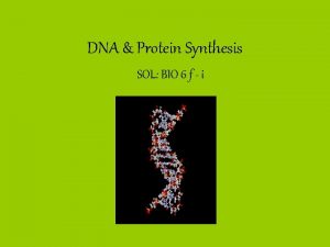DNA Protein Synthesis SOL BIO 6 f i