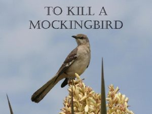 to kill a Mockingbird Why do we study