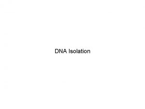 DNA Isolation Where is the DNA Eukaryotes that