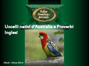 Uccelli nativi dAustralia e Proverbi Inglesi Music Moon