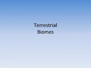 Terrestrial Biomes DESERT BIOMES Deserts areas where evaporation