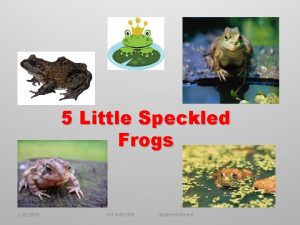 5 Little Speckled Frogs 1212022 IDT 3600 505