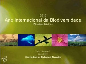2010 Ano Internacional da Biodiversidade Diretrizes Bsicas David