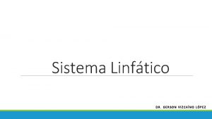 Sistema Linftico DR GERSON VIZCANO LPEZ Sistema linftico