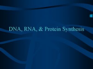 DNA RNA Protein Synthesis DNA DNA is made