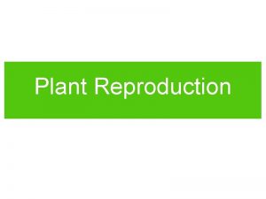 Plant Reproduction Sexual Reproduction Sexual reproduction requires fusion