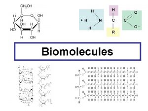 Biomolecules Four Organic Compounds Carbohydrates Lipids Proteins Nucleic