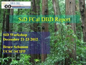 Si D FCal DBD Report Si D Workshop