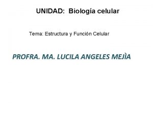 UNIDAD Biologa celular Tema Estructura y Funcin Celular