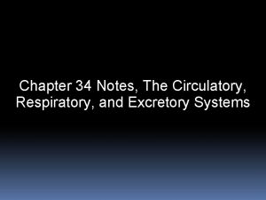 Chapter 34 Notes The Circulatory Respiratory and Excretory