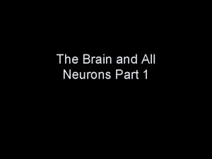 The Brain and All Neurons Part 1 Neurons