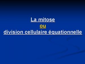 La mitose ou division cellulaire quationnelle Dfinition cest