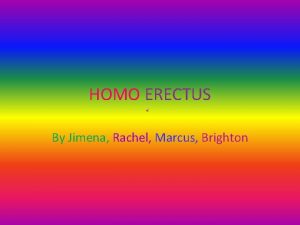 HOMO ERECTUS By Jimena Rachel Marcus Brighton Introduction