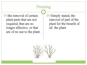 Pruning the removal of certain plant parts that