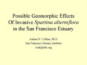 Possible Geomorphic Effects Of Invasive Spartina alterniflora in