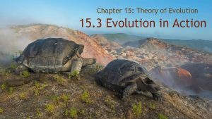 Chapter 15 Theory of Evolution 15 3 Evolution
