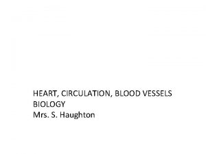 The Heart and Circulatory System HEART CIRCULATION BLOOD