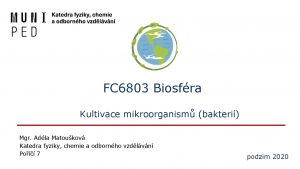 FC 6803 Biosfra Kultivace mikroorganism bakteri Mgr Adla