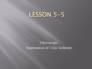 LESSON 5 5 Microscopic Examination of Urine Sediment