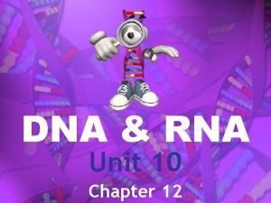 DNA RNA Unit 10 Chapter 12 DNA Deoxyribonucleic