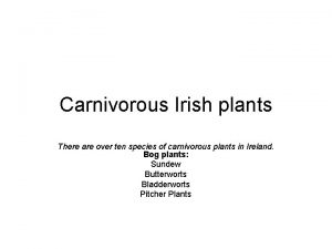 Carnivorous Irish plants There are over ten species