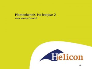 Plantenkennis Ho leerjaar 2 Vaste planten Periode 1