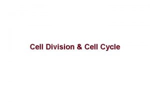 Cell Division Cell Cycle What is cell division