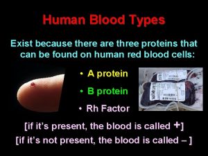 Human Blood Types Exist because there are three