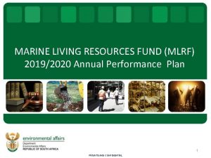 MARINE LIVING RESOURCES FUND MLRF 20192020 Annual Performance