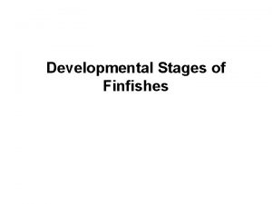 Developmental Stages of Finfishes Developmental Stages of Finfishes