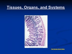 Tissues Organs and Systems The Human Body Video