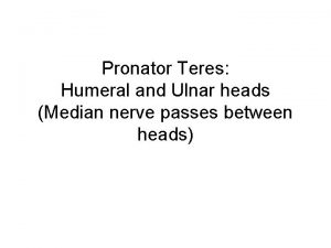 Pronator Teres Humeral and Ulnar heads Median nerve