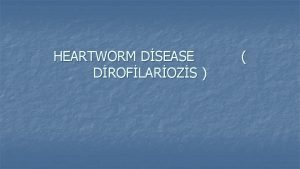 HEARTWORM DSEASE DROFLAROZS n n Dirofilaria immitis tarafndan