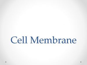 Cell Membrane Function Protects cell Allows for passage