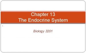 Chapter 13 The Endocrine System Biology 3201 13