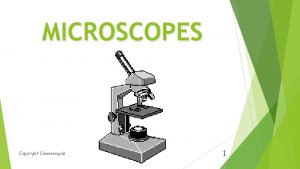 MICROSCOPES Copyright Cmassengale 1 Microscopy and Measurement Microscopes