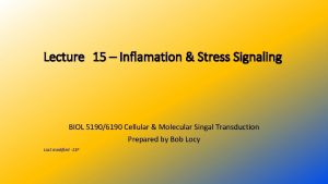 Lecture 15 Inflamation Stress Signaling BIOL 51906190 Cellular