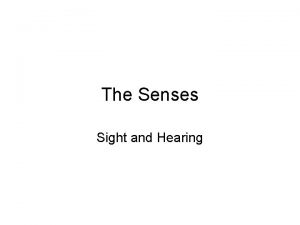 The Senses Sight and Hearing Vision Anatomy of