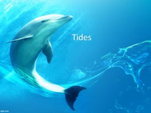 Tides Tides Are the Longest of All Ocean