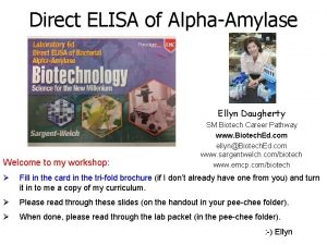 Direct ELISA of AlphaAmylase Ellyn Daugherty Welcome to