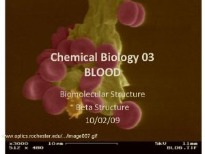 Chemical Biology 03 BLOOD Biomolecular Structure Beta Structure